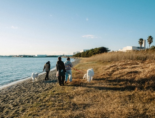 Understanding Your Retirement Vision
