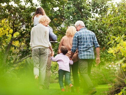 Individuals & Families