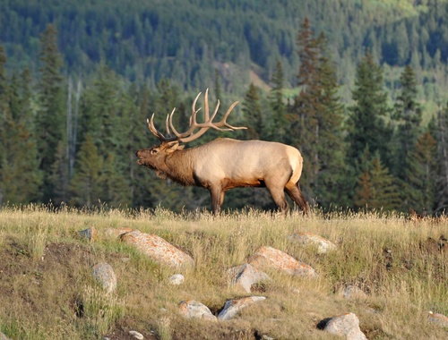 payday loans yarmouth