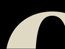 Oneview Consolidated Statements