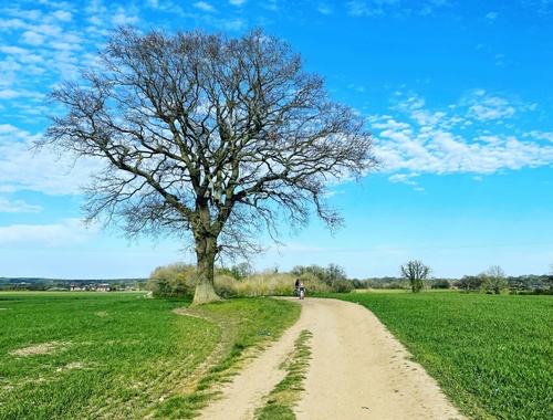 Key Elements of Your Estate Plan