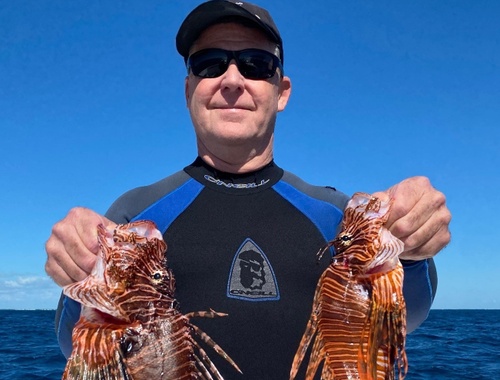  Lion Fish<br/>
