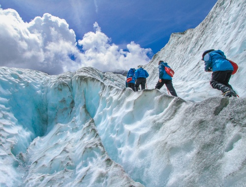 Risk Management