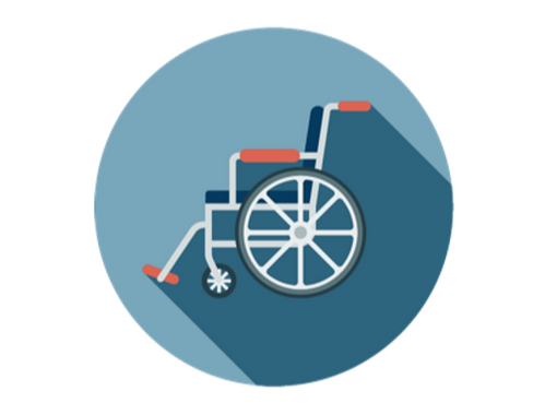 Bridging the Disability Gap