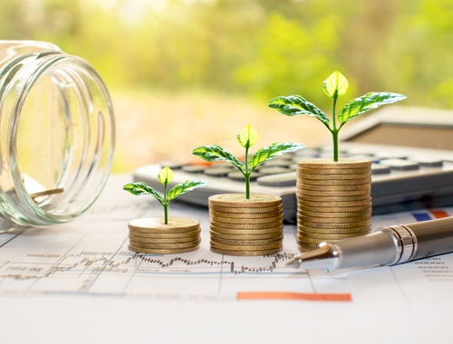 Investment Strategy