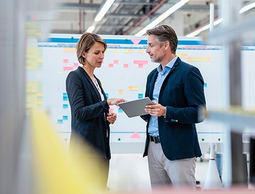 Experienced insight to guide your career