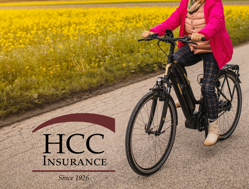 Don't Overlook This Crucial Step: Why E-Bike Insurance Is a Must<div class="c-post-details"><div class="c-post-author"><br/></div></div>