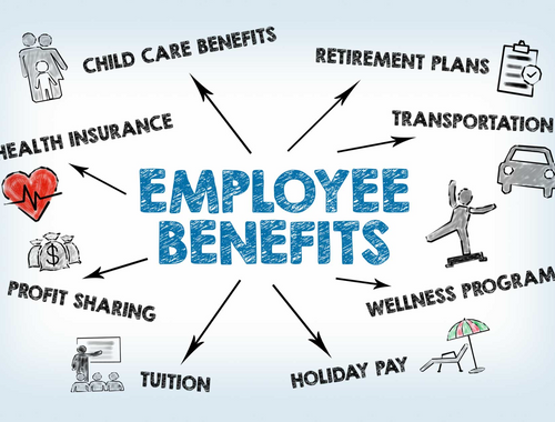 Employer-Sponsored Plans