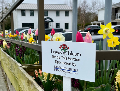 Lewes in Bloom