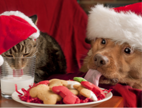 I Won't Tell Him If You Don't Tell Him. Hurry!
