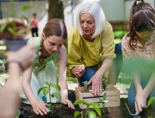Personalized Solutions Built on Clarity and Care