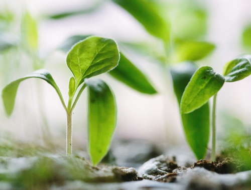 Sound Investment Group will assist you during each stage of your financial life<br/>