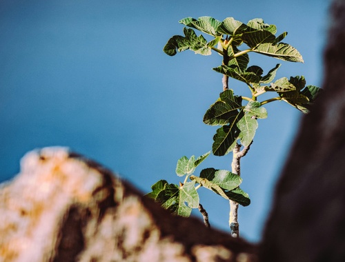 Waterstone Wealth's Investment Philosphy is built on four key pillars: