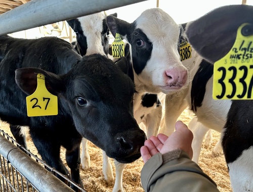 February 2024 - Farm Visits
