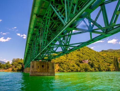 Investment Management<br/>Innovation