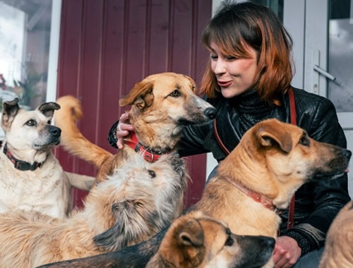 PetSmart Charities