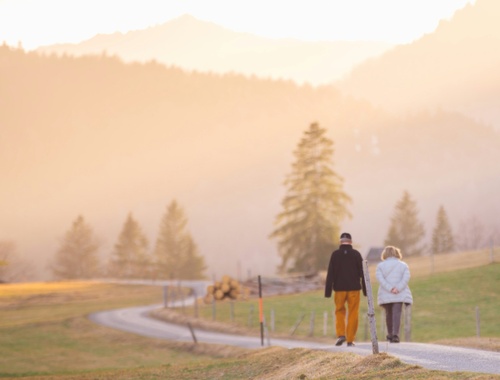 Retirement Plans