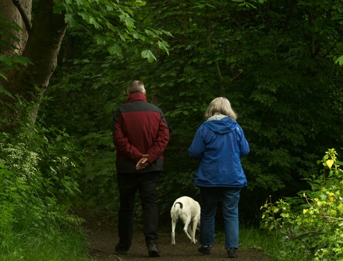 Fit-To-Retire Readiness Roadmap