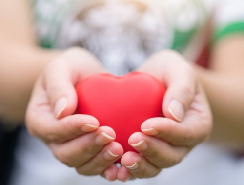 Charitable Giving/ Legacy Planning
