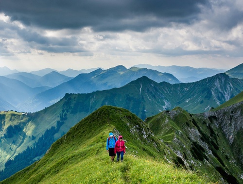 ALPINE MODEL