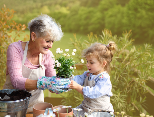 Preparing for Life in Retirement