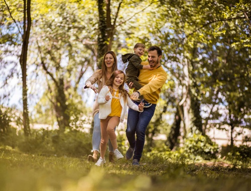 Individuals & Families