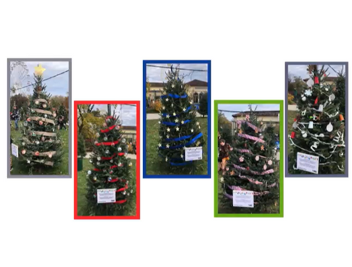 Brookfield Zoo Holiday Tree Trim - November 2024