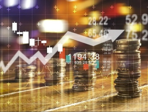 Investment Management 