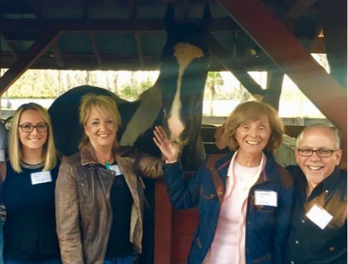 2018 Quantum Leap Farm