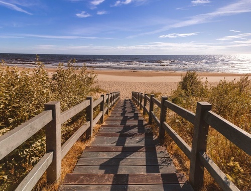 Participant Corner: Four Basic Steps for a Successful Retirement