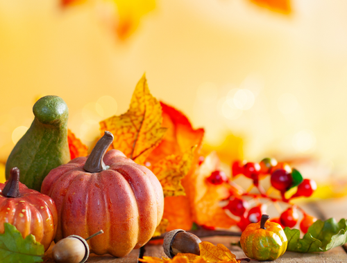 Reflecting On What Matters Most This Thanksgiving
