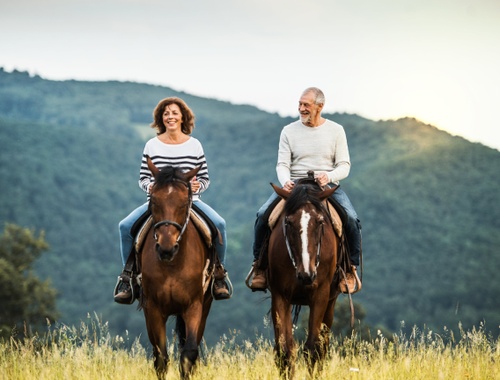 Professional Asset Management