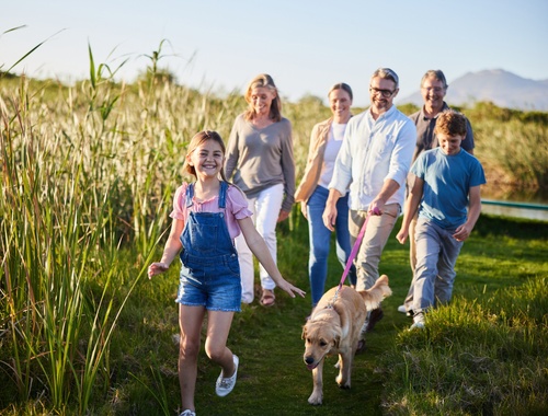 Comprehensive Financial Planning
