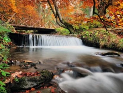 Autumn forest - waterfall and rocks with yellow leaves