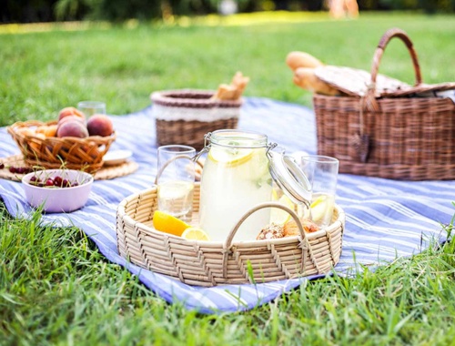 Client Appreciation Picnic Lunch