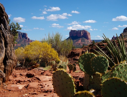 Your Road Map To Financial Clarity
