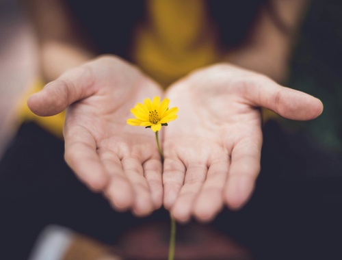 Gifting Or Giving Strategies