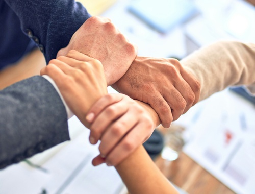 Insurance & Risk Solutions