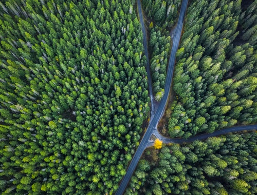 Financial Roadmap