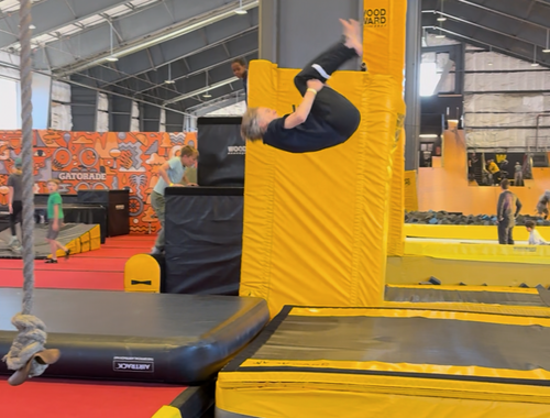 BIll on the trampoline