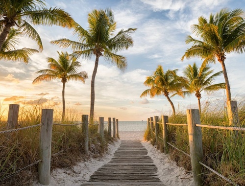 Gaining Confidence with an In-Depth Plan