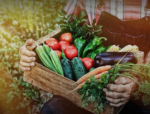 Insurance Needs Assessment: For Empty Nesters and Retirees