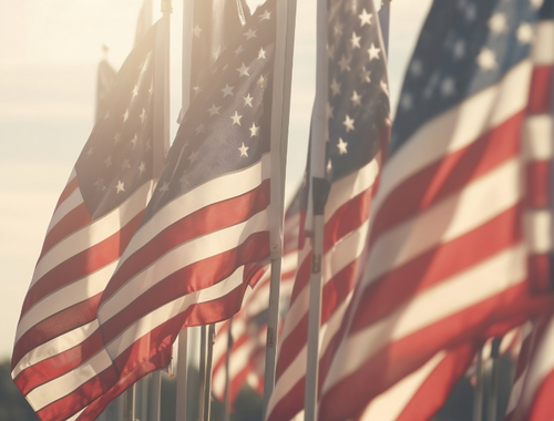 Veterans Day 2024