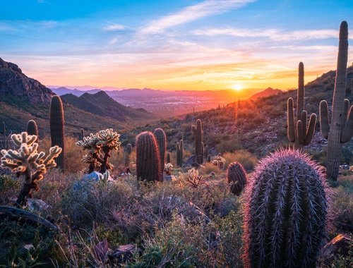 Retirement Plan Consulting