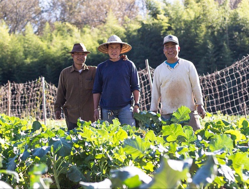 Global Growers