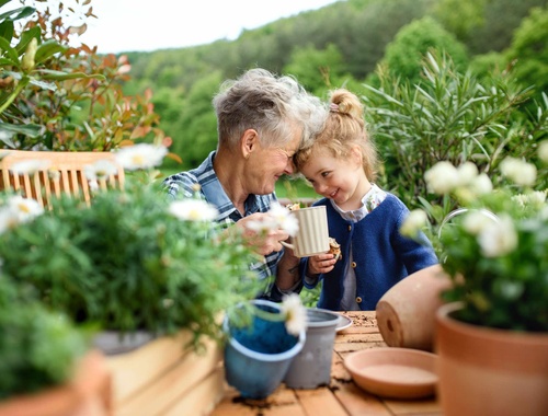Charitable Giving Strategies