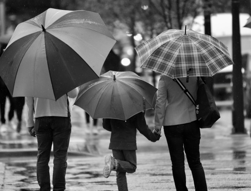 Risk and Liability Management 