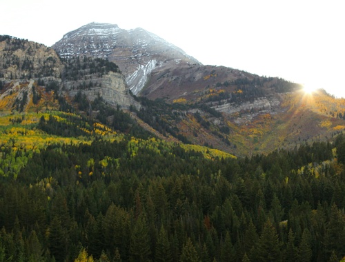 How it Protects Your Firm