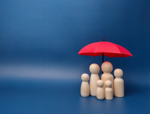 Insurance Planning