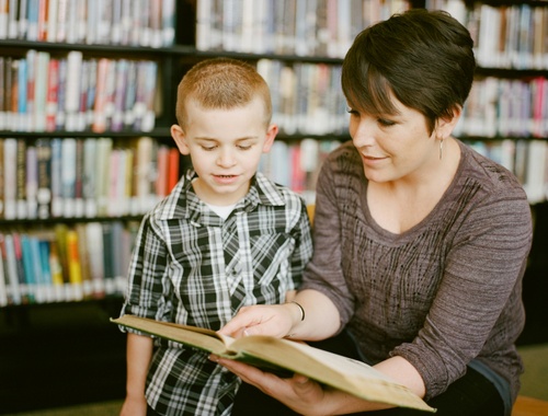 Public Educators